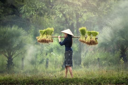 铜陵有色：10月30日融券卖出58.41万股，融资融券余额14.69亿元