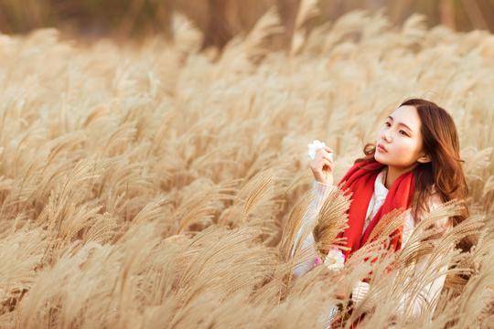 水果篮子在哪看(像《水果篮子》一样的日本动漫，推荐几个？)