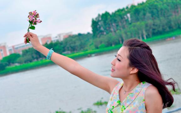 菊花枸杞决明子茶能天天喝吗(决明子茶里：有菊花、枸杞子!能长期喝吗？)